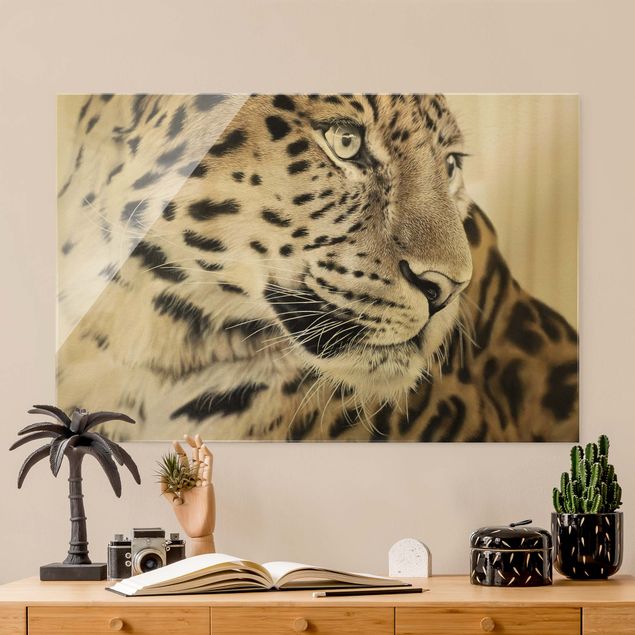Natur Glasbilder Der Leopard