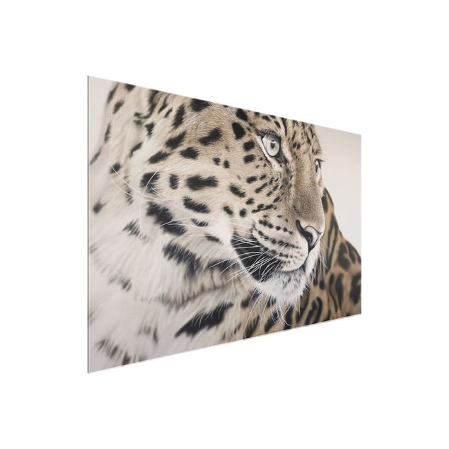 Natur Glasbilder Der Leopard