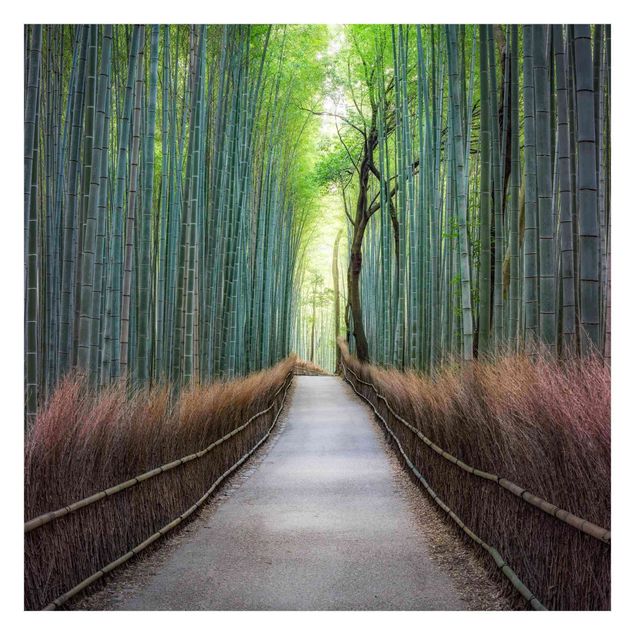Fototapete - Der Weg durch den Bambus