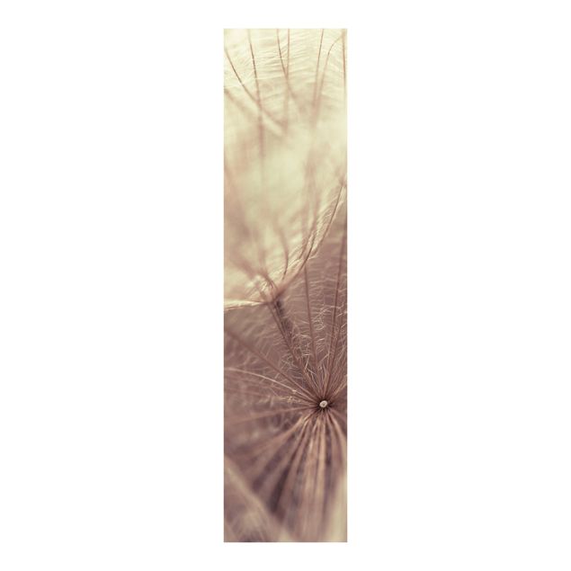 Schiebegardinen mit Motiv 3-teilig Detailreiche Pusteblumen Makroaufnahme mit Vintage Blur Effekt