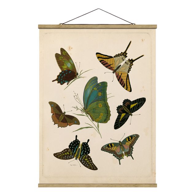 Stoffbild mit Posterleisten - Vintage Illustration Exotische Schmetterlinge - Hochformat 3:4