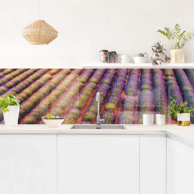 Küchenrückwand Blumen Malerisches Lavendelfeld