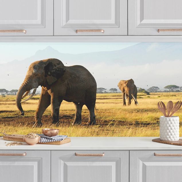 Küchenrückwände Platte Elefanten vor dem Kilimanjaro in Kenya
