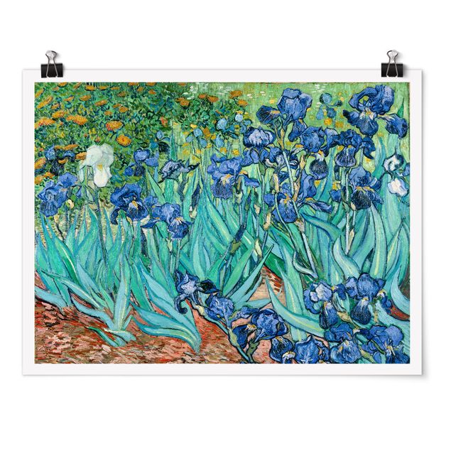 Poster Kunstdruck Vincent van Gogh - Iris