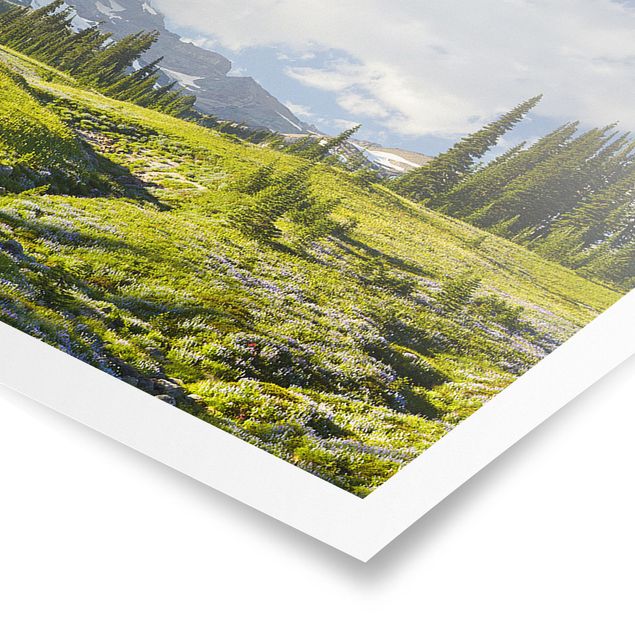 Panorama Poster Natur & Landschaft - Bergwiese mit blauen Blumen vor Mt. Rainier