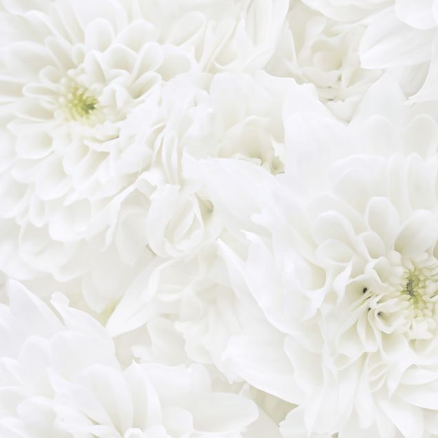 Weiße Klebefolie Dahlien Blumenmeer weiß