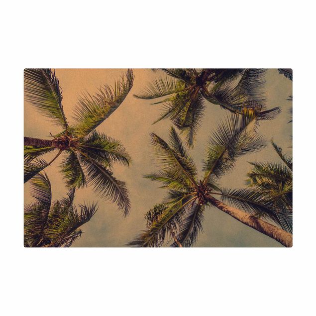 Teppich Esszimmer Die Palmen
