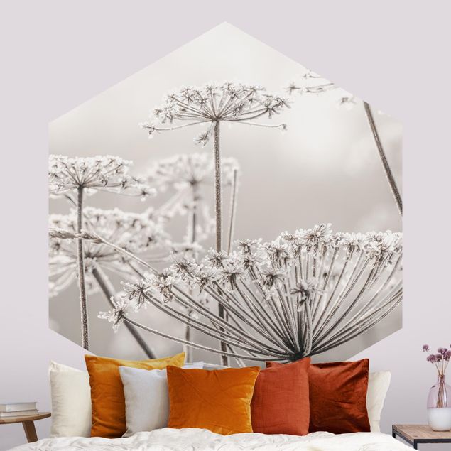 Romantische Schlafzimmer Tapete Doldenblüten im Frost