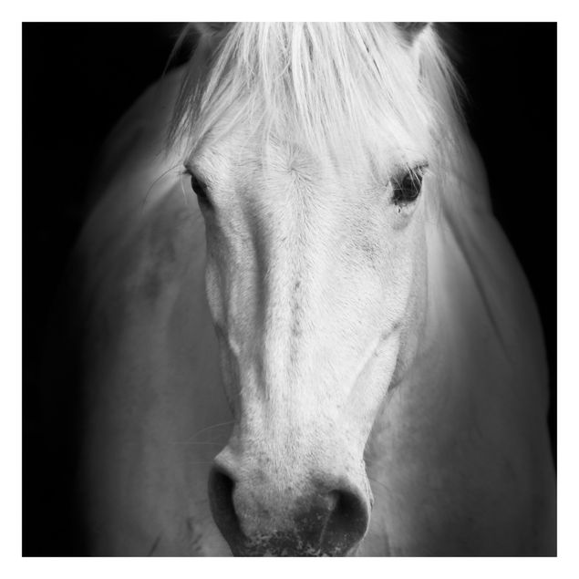Fototapete - Dream of a Horse