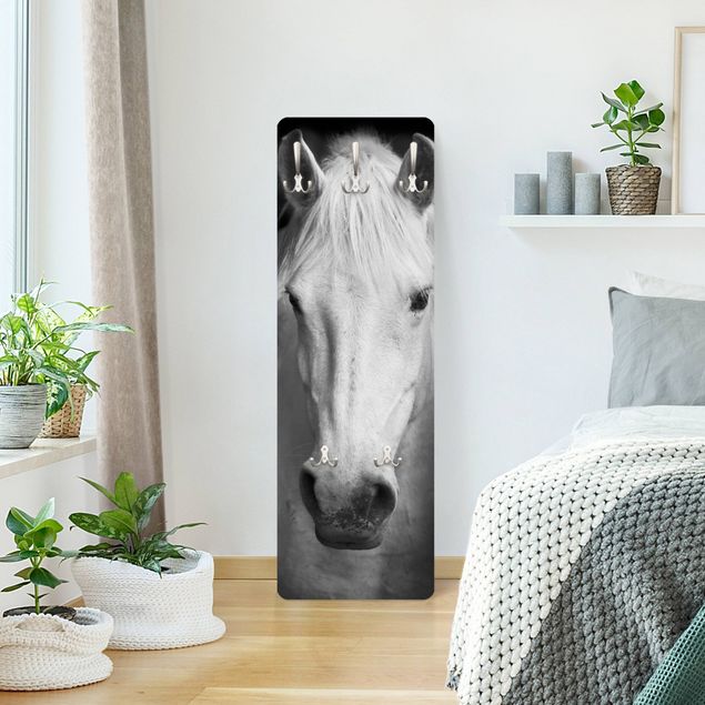 Garderobenpaneel Dream of a Horse