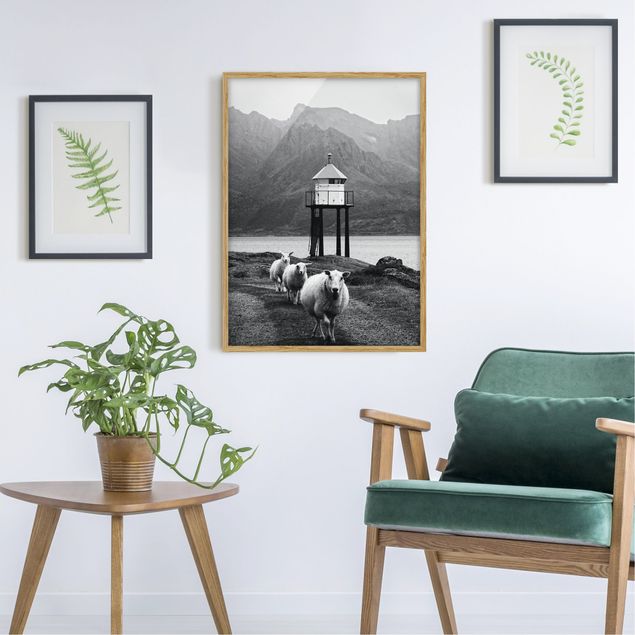 Bilder für die Wand Drei Schafe auf den Lofoten