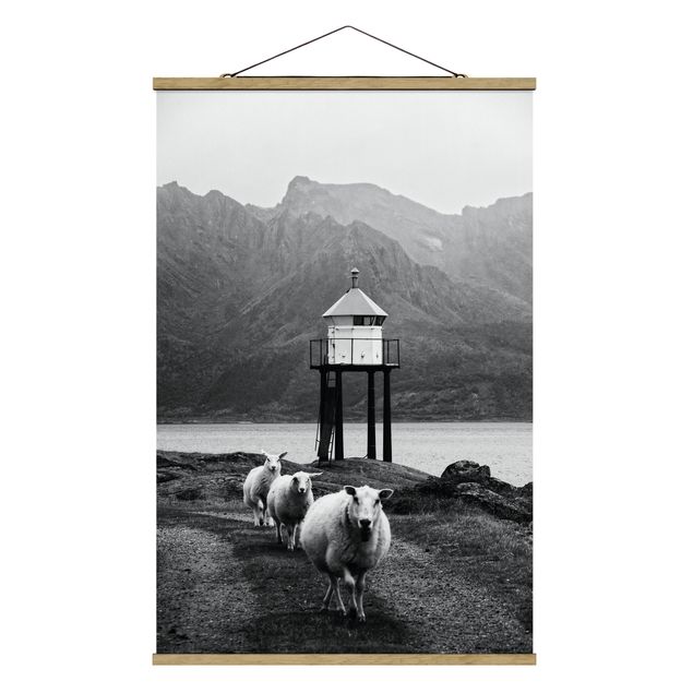 Stoffbild mit Posterleisten - Drei Schafe auf den Lofoten - Hochformat 2:3