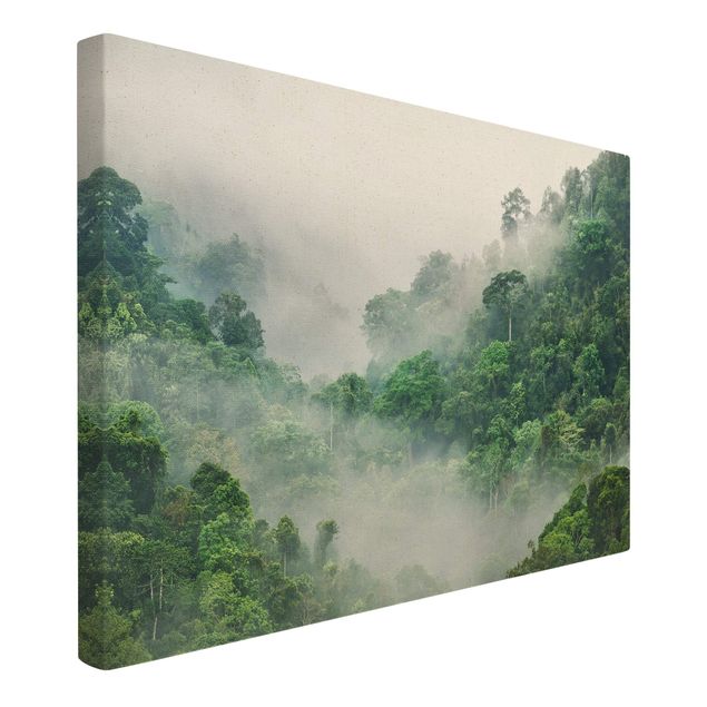 Wandbilder Dschungel im Nebel