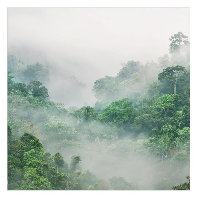 Fensterfolien Dschungel im Nebel