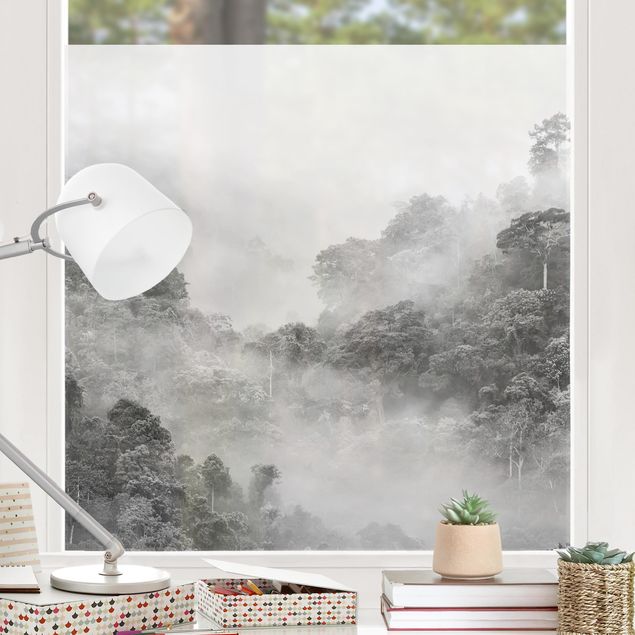 Fensterbilder Natur Dschungel im Nebel Schwarz-Weiß