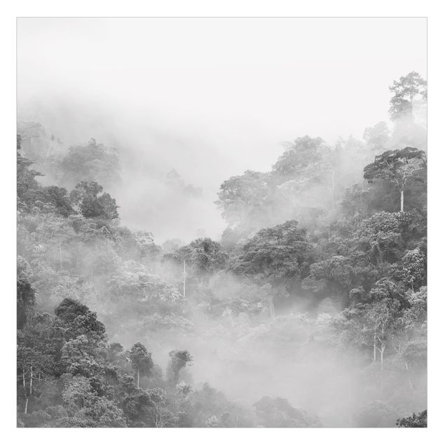 Folie für Fenster Dschungel im Nebel Schwarz-Weiß