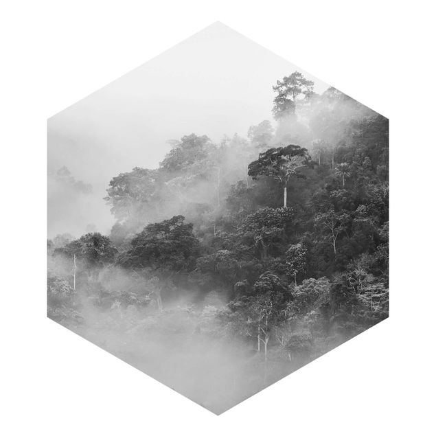 Fototapete schwarz Dschungel im Nebel Schwarz Weiß