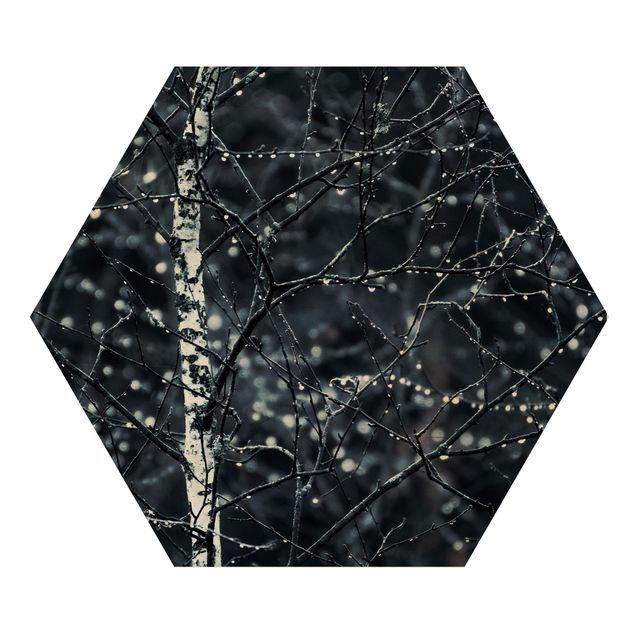 Hexagon Bild Holz - Dunkle Birke im kalten Regen