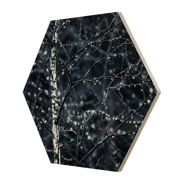 Hexagon Bild Holz - Dunkle Birke im kalten Regen
