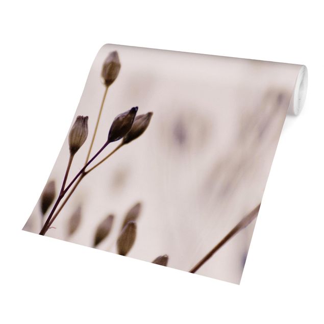 Fototapete - Dunkle Knospen am Wildblumenzweig - Quadrat