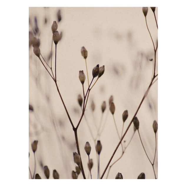 Bilder für die Wand Dunkle Knospen am Wildblumenzweig
