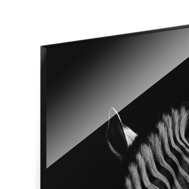 Glas Wandbilder Dunkle Zebra Silhouette