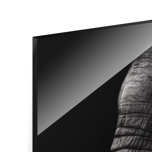 Glasbilder Dunkles Elefanten Portrait