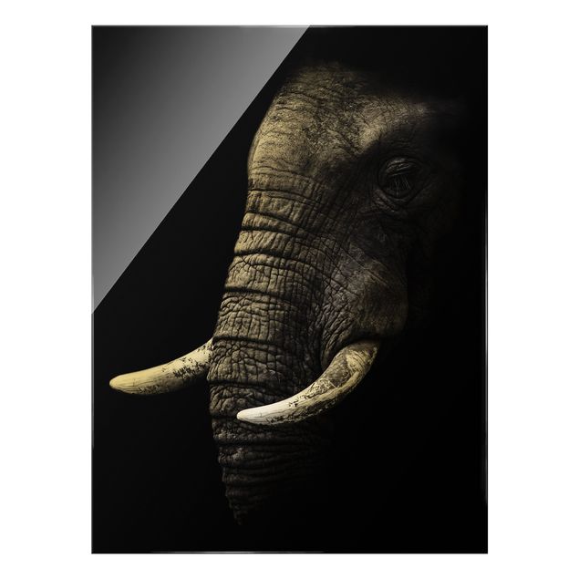 Wandbilder Dunkles Elefanten Portrait