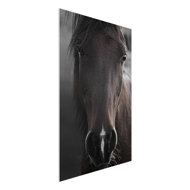 Wandbilder Tiere Dunkles Pferd