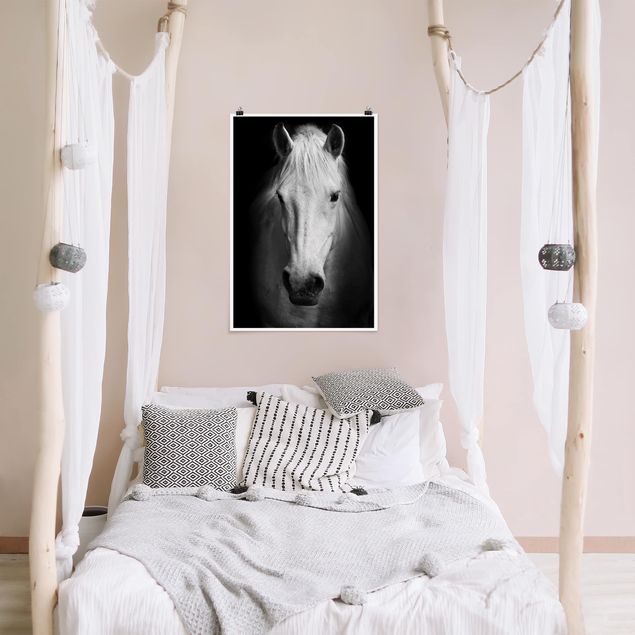 Poster Tiere Dream of a Horse