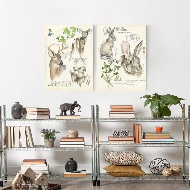 Wandbilder Tiere Wildnis Journal - Hirsch und Kaninchen Set II