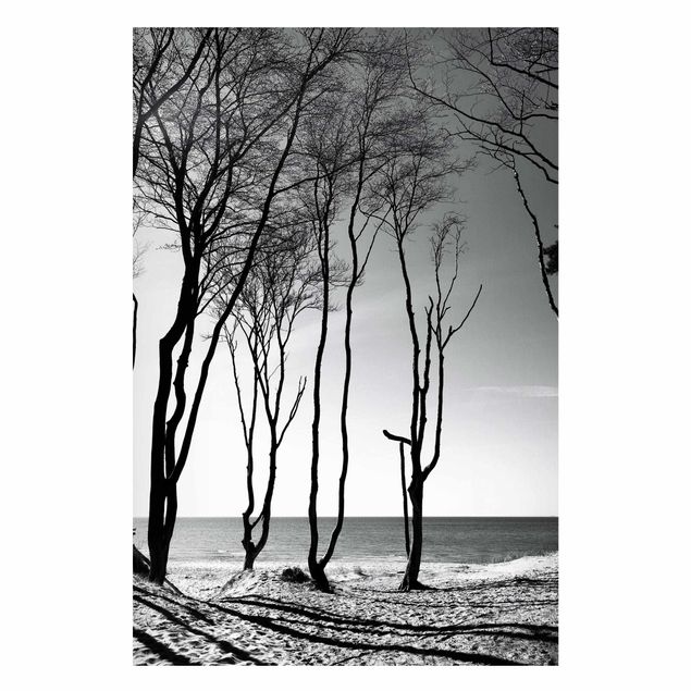 Magnettafel Strand Bäume an der Ostsee
