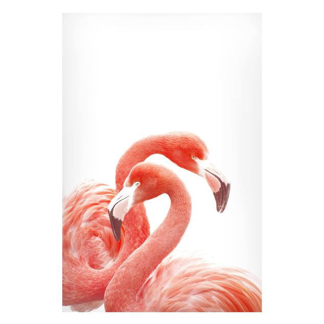 Magnettafel Büro Zwei Flamingos
