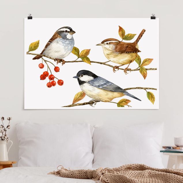 Wandbilder Tiere Vögel und Beeren - Meisen