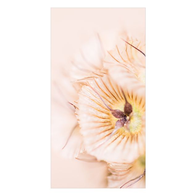 Duschrückwand - Pastellfarbener Blütenstrauß