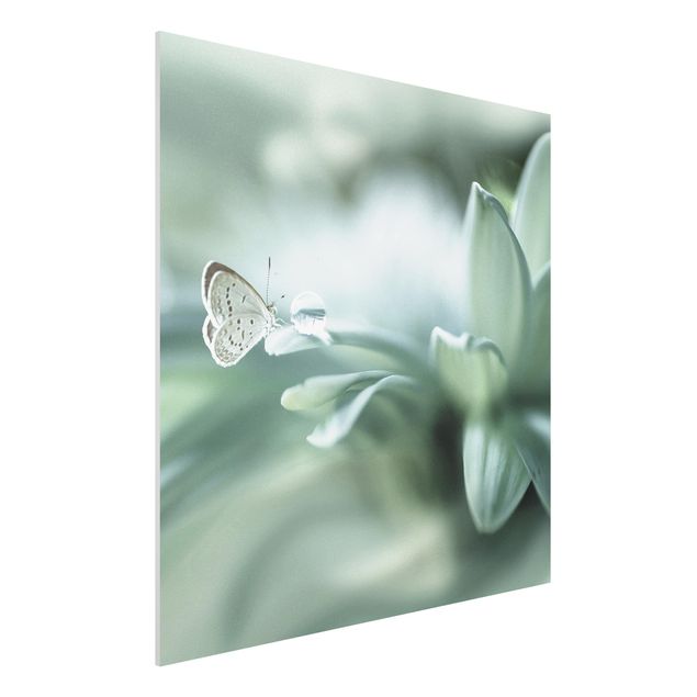 Wandbilder Tiere Schmetterling und Tautropfen in Pastellgrün