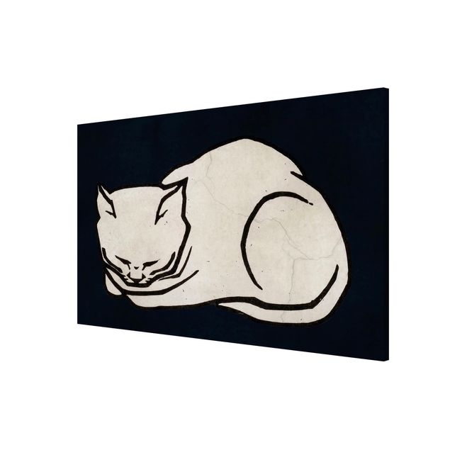 Magnettafel Tiere Schlafende Katze Illustration