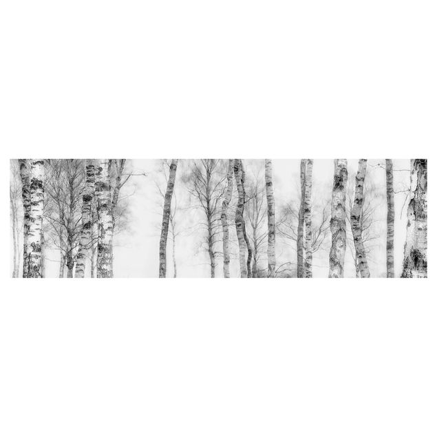 Küchenrückwand Mystischer Birkenwald Schwarz-weiß