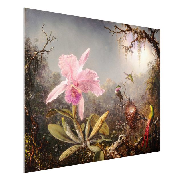 Wandbilder Tiere Martin Johnson Heade - Orchidee und drei Kolibris