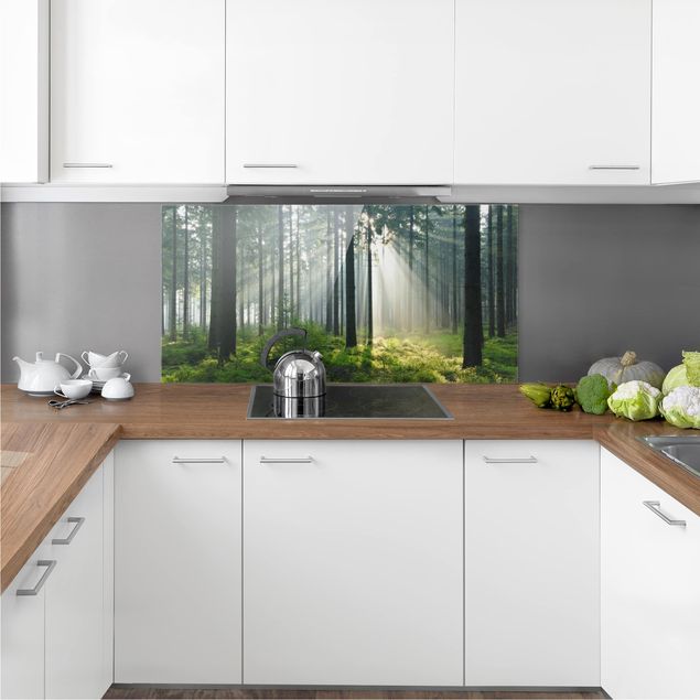Küchenrückwand Glas Wald Enlightened Forest