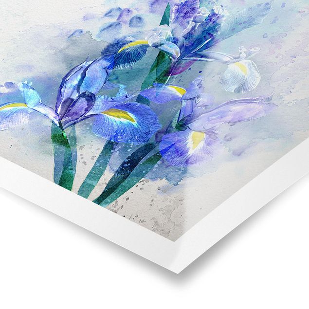 Poster - Aquarell Blumen Iris - Quadrat 1:1
