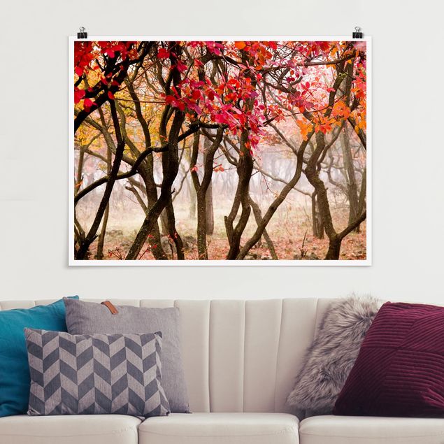 Poster Landschaft Japan im Herbst