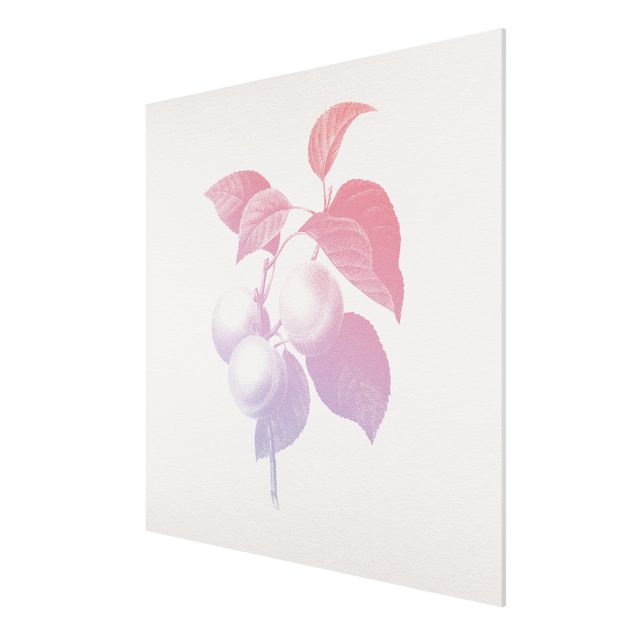 Forex Fine Art Print - Modern Vintage Botanik Pfirsich Rosa Violett - Quadrat 1:1
