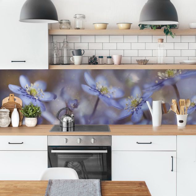 Küchenrückwand Gräser Anemonen in Blau