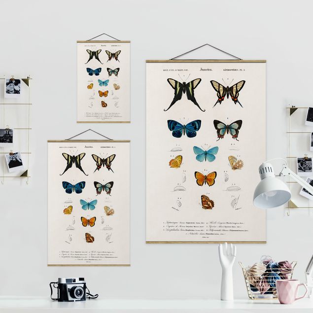 Stoffbild mit Posterleisten - Vintage Lehrtafel Schmetterlinge I - Hochformat 2:3