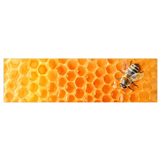Rückwand Küche Honey Bee