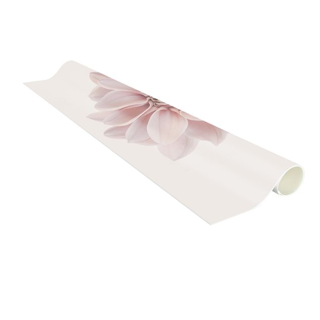 Moderner Teppich Dahlie Blume Pastell Weiß Rosa