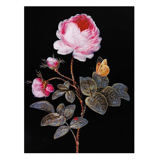 Magnettafel Büro Barbara Regina Dietzsch - Die hundertblättrige Rose