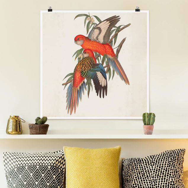 Poster - Tropische Papageien I - Quadrat 1:1