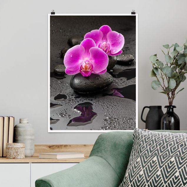 Blumen Poster Pinke Orchideenblüten auf Steinen mit Tropfen
